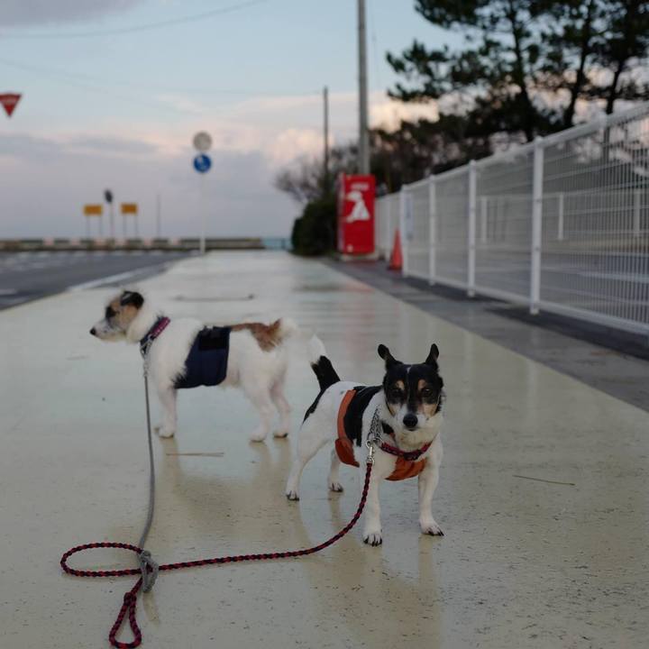 1860e66f 7ea7 45a2 b7ac 17647ed1e4aa 1671764291256