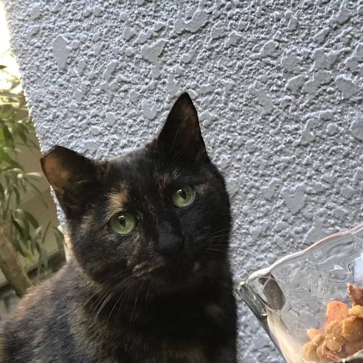 1861179a afd2 41f9 9df9 8a57b1760812 1525590282373