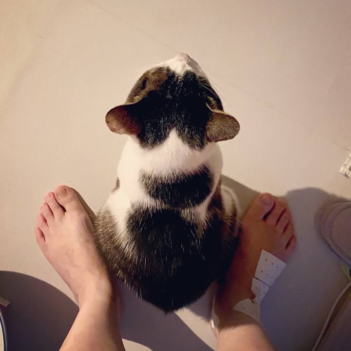 18612c07 eae1 4950 9c70 03b36bb17d79 1596551037984