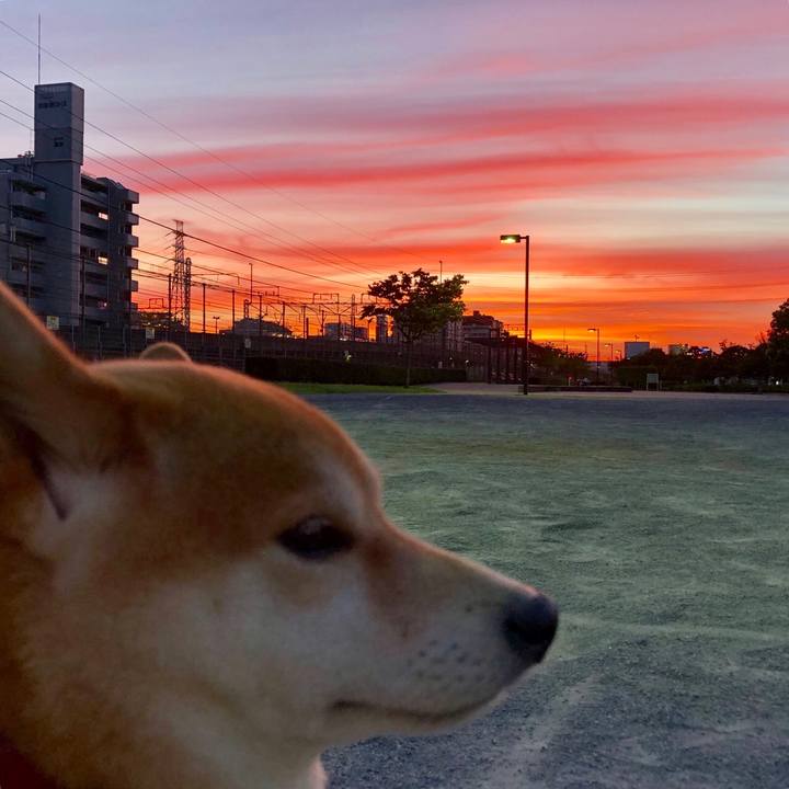 18614d8e 6d5a 4a5f ae1d 885efce40c19 1534946851928