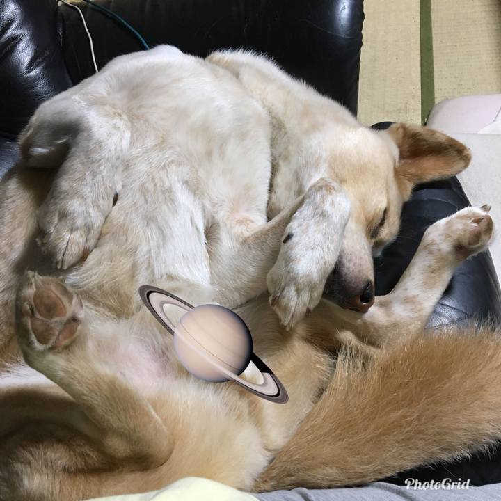 18614e80 4421 40e1 a510 de539f22f6f0 1525360980049