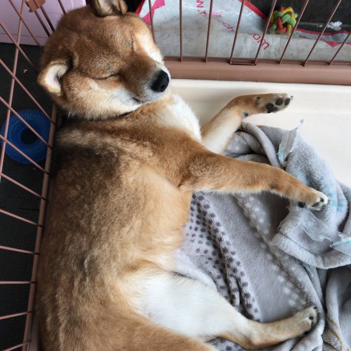 18615417 d654 41ce b712 0a0ff84384f4 1522360381743