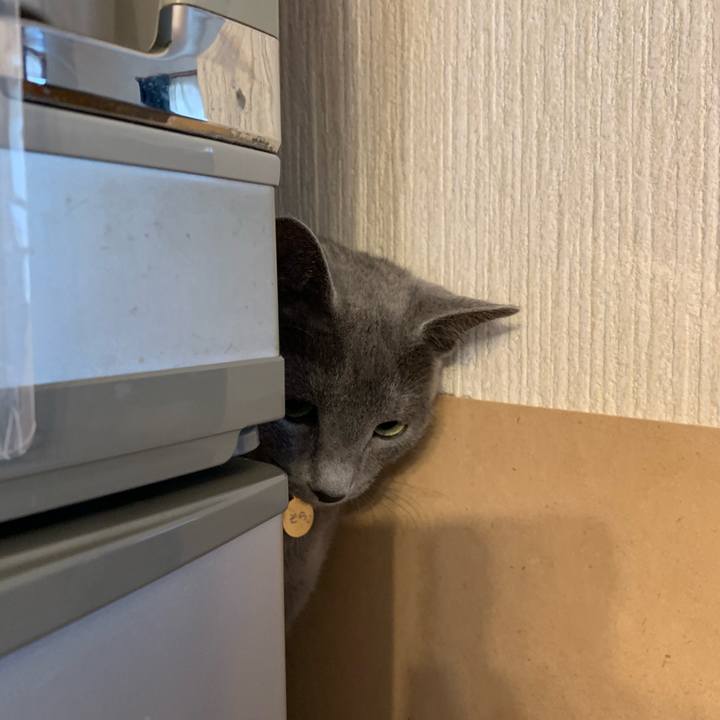 1861842a 7c95 40f7 85c9 ab107693c519 1576197330701