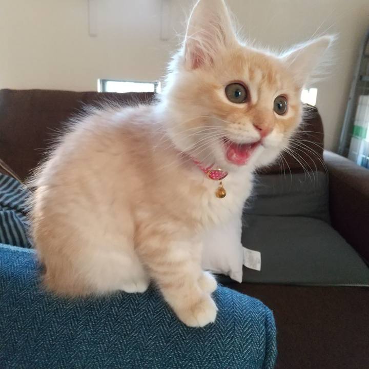 1861ba9a a104 4d55 a5a7 d6503926a9ac 1605422667275