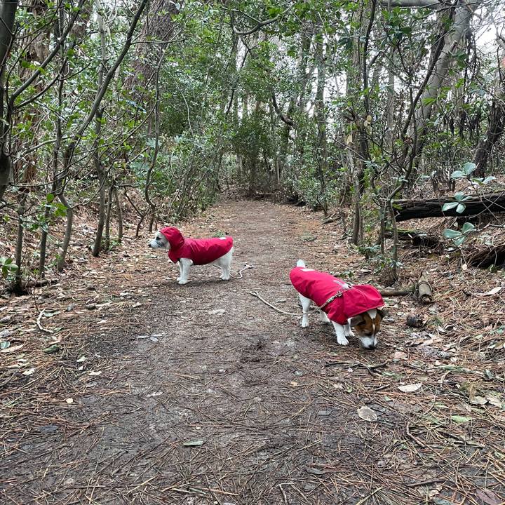 1861c9f1 9e68 46f4 9f11 892489ffa800 1710285467058