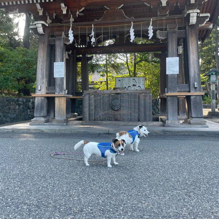 1861ca7a 4cf8 462f a4e6 1c0f5d23dfd3 1753225658417