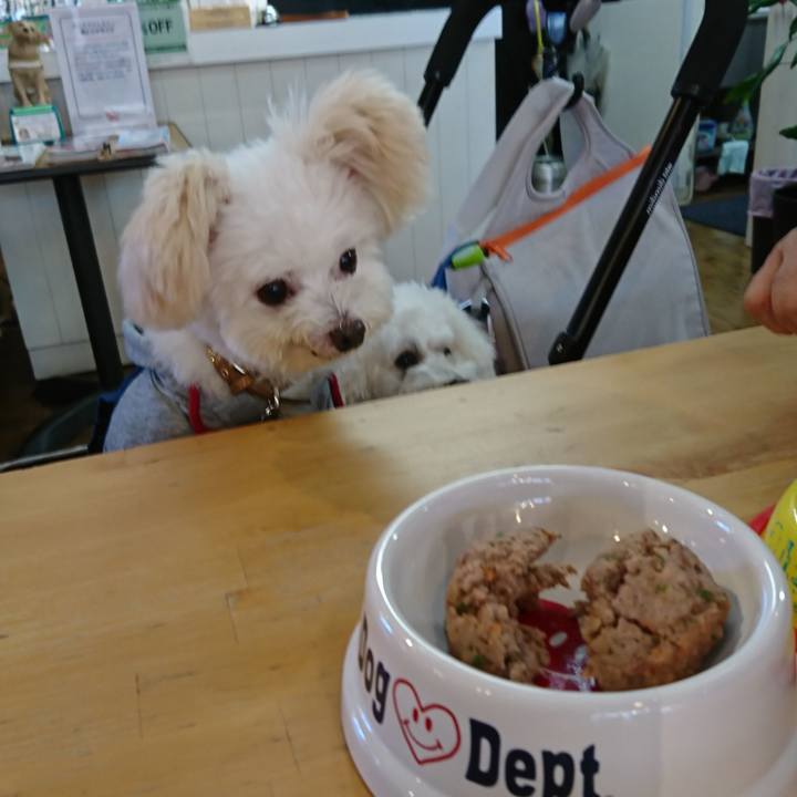 1861d262 1b2c 4e8d a22f 6389562bc135 1571116358916