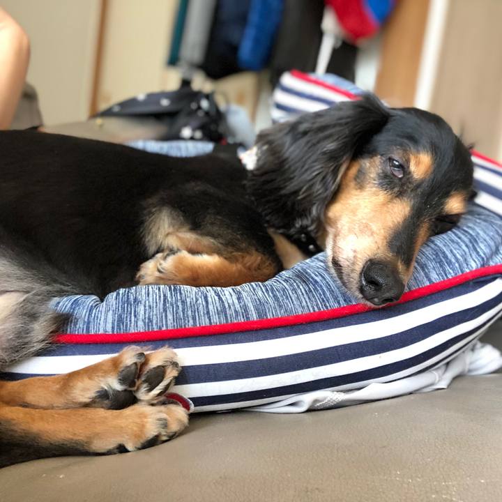 1861d402 11b0 4fb2 b027 a87a62c35ed8 1566017080428