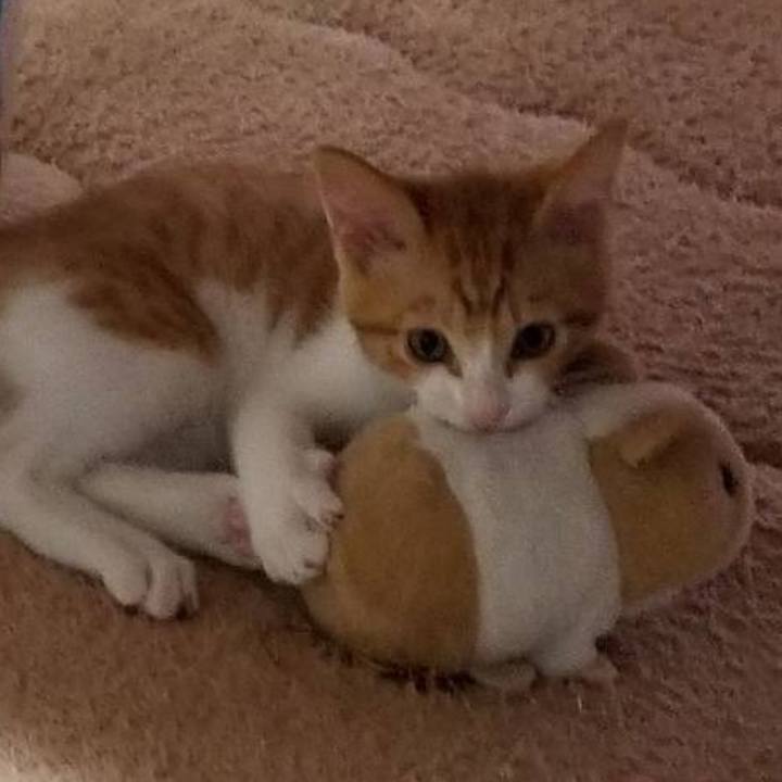 186209cb 1782 42fd bd69 8d8b4b4f92eb 1759059392957