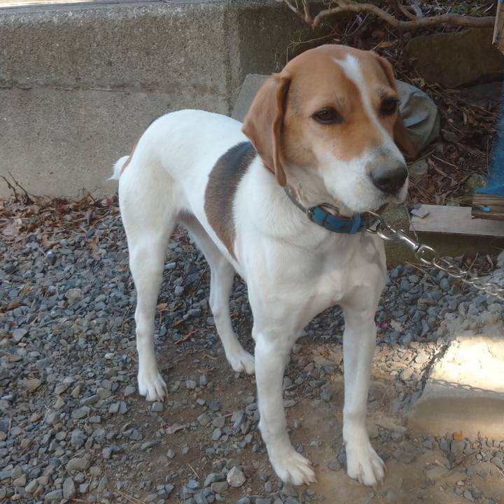 186242a2 9338 428a be74 57f904d81c6d 1613118859841