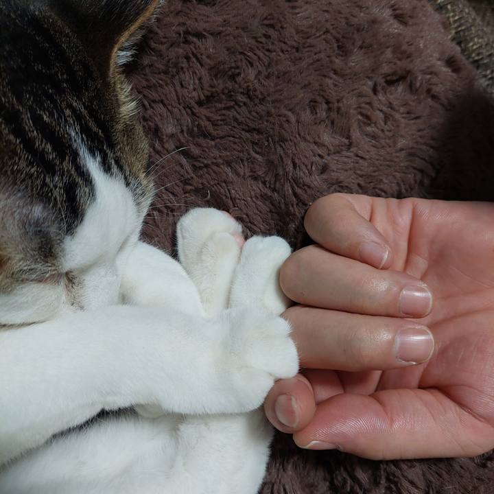 186245ad 4af8 4cda a756 e208bca8dae0 1637495912099