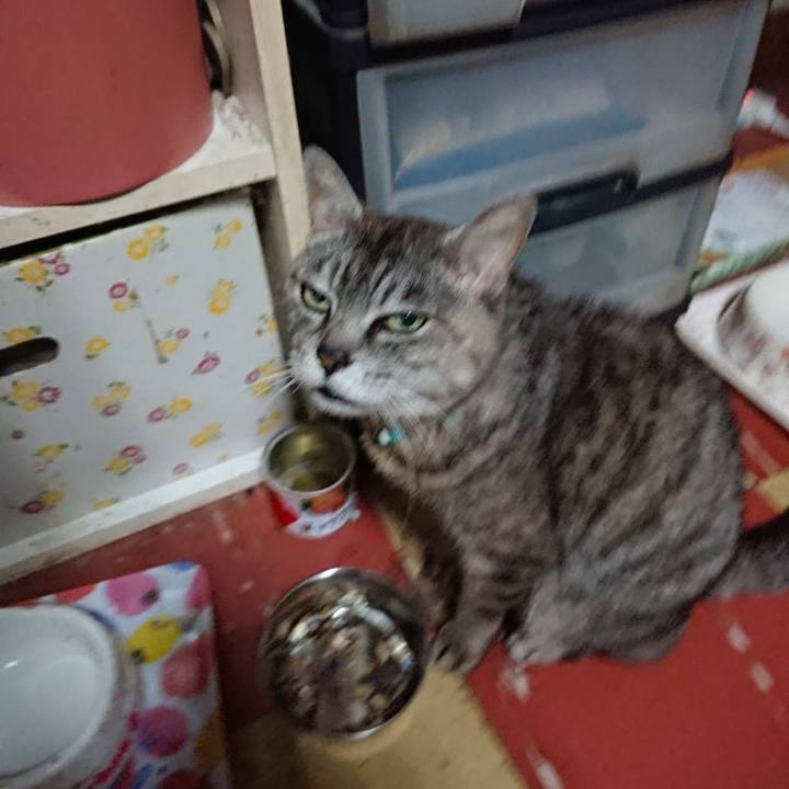 186271f6 b141 489b 952c 650cbe3f4b47 1564603194735