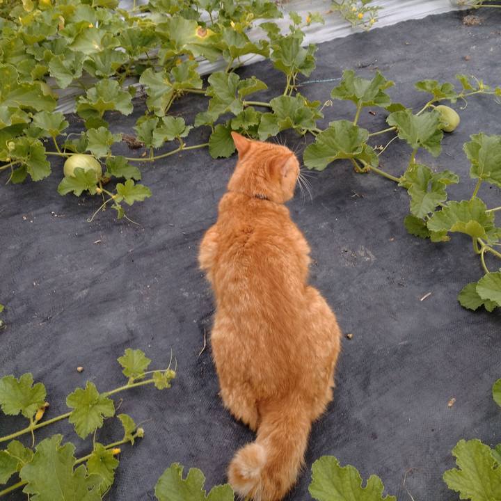 18631a7e 322d 4c66 bc18 c82cc6718310 1689672856947