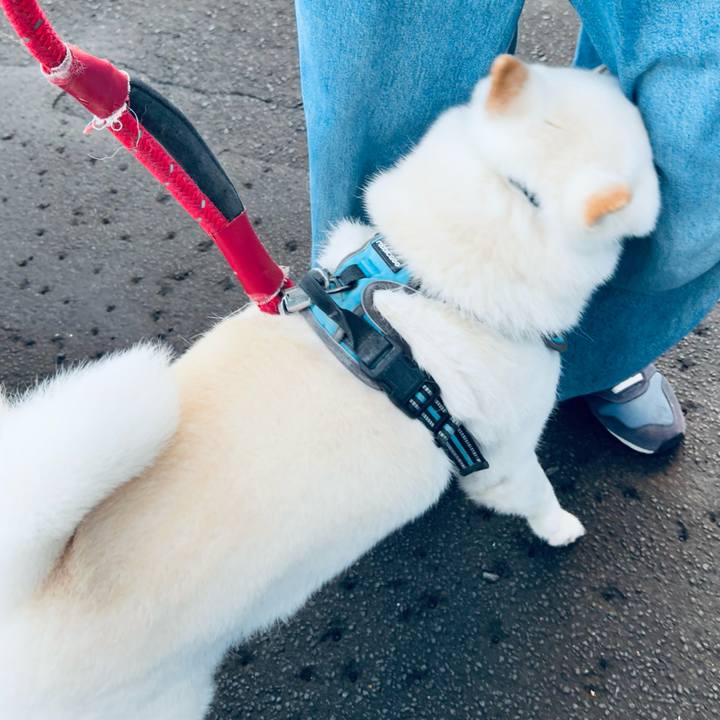 18633835 9206 44b0 98dc faed81a59c9c 1758834511024