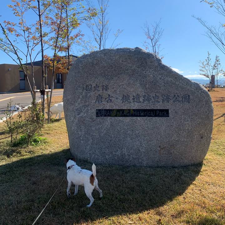 18637675 4292 4c3e b460 b4de8ec44563 1543056243536