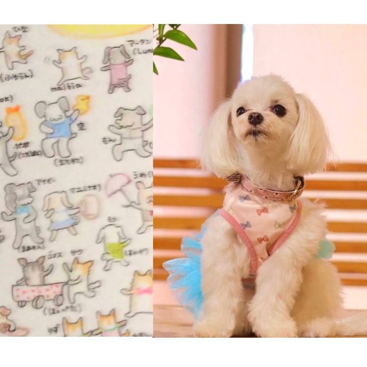 18638b01 9a5a 4126 a862 128855bf6072 1660254975996