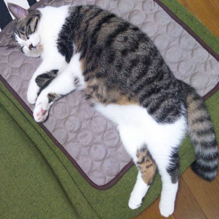 186394d6 58fd 41ce b247 67ce8f3e3f07 1625395058299