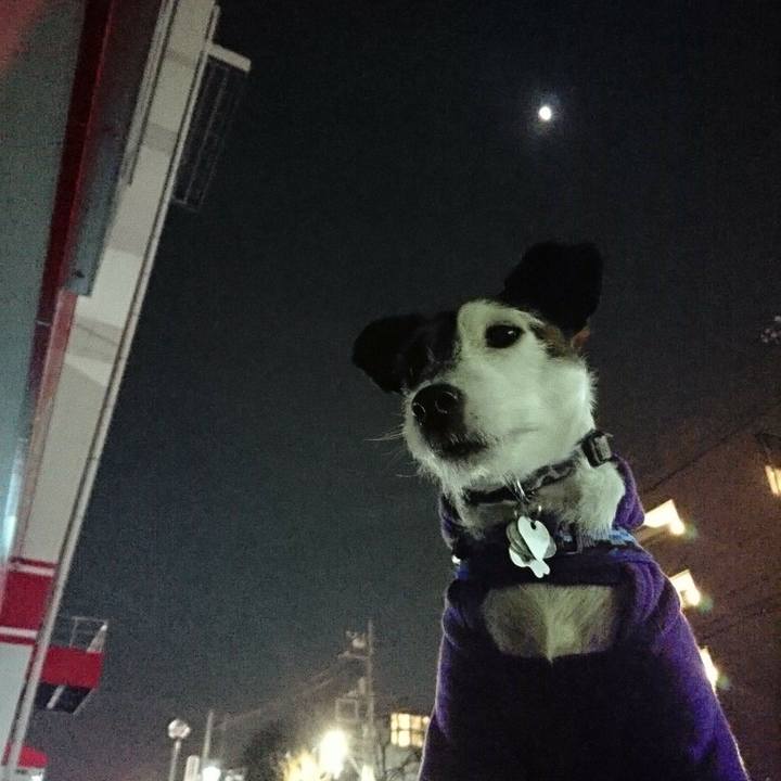 186396da 946a 4f2c babd 83d949888e9f 1517402433698