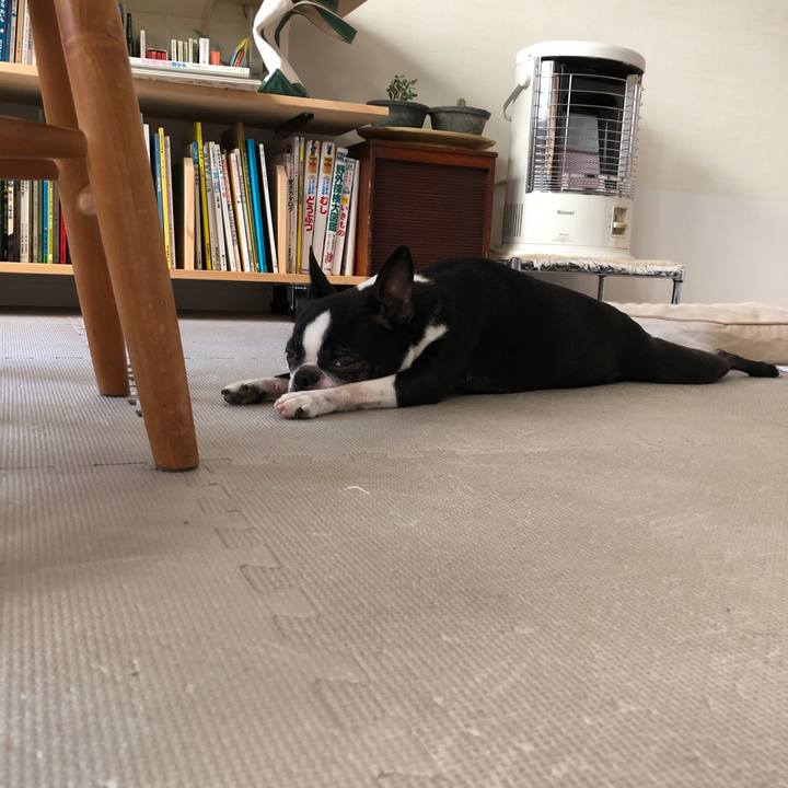 18639d20 476f 4156 8b36 bb6394250eaf 1672031740333