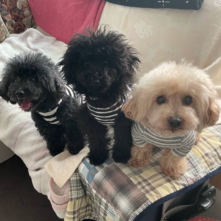 1863a151 50bb 48d7 a2ef 4b7e588a8455 1683334720414