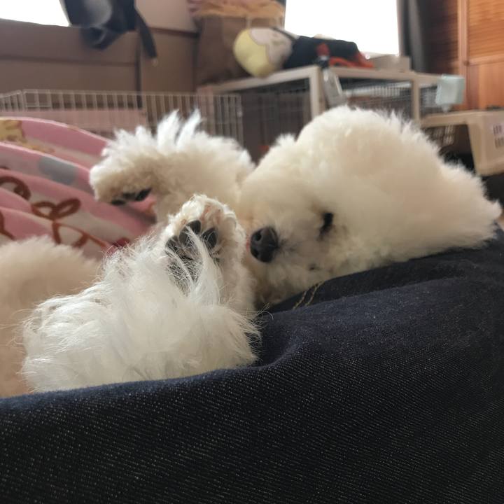 1863bb29 8982 4fb2 bfaa ae40161db2d9 1589262751297