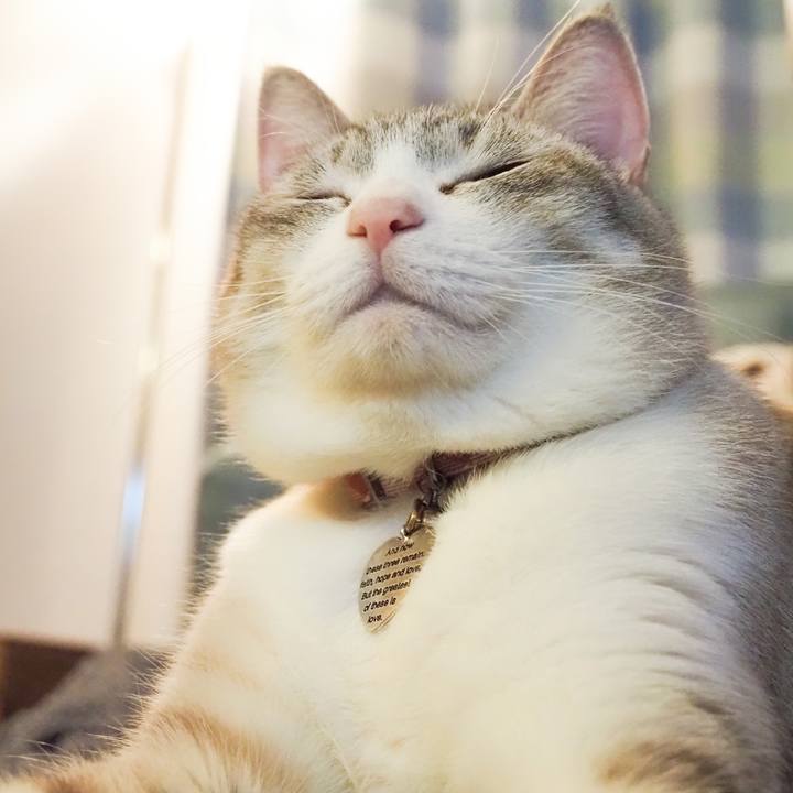 1863cd71 ecf7 4f58 85c2 d5b9e1328515 1615867096892