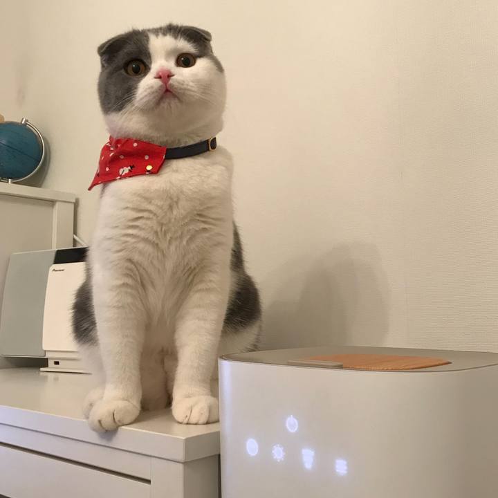 1863e059 1602 4e96 b79d 8e7f2f2ed28c 1512203892417