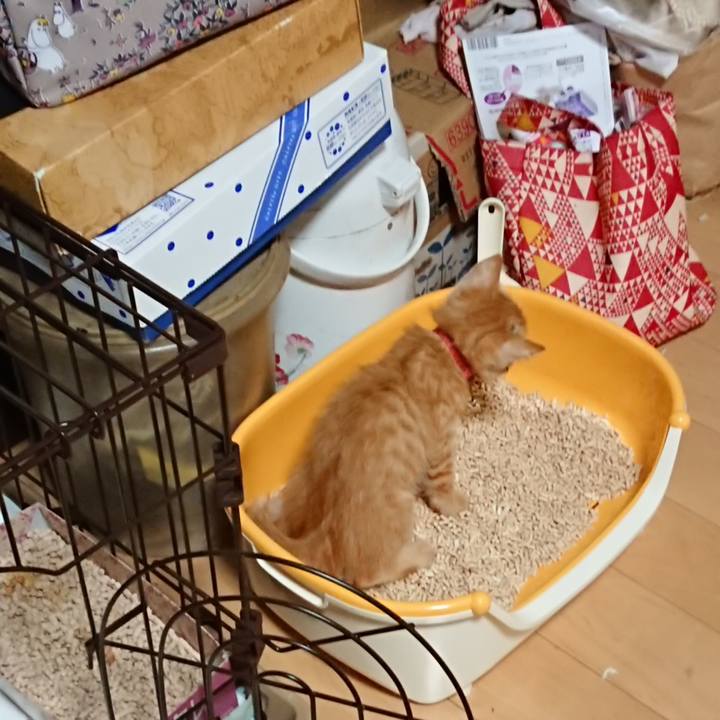 1863e9fa 4b46 4710 9ca9 8afbba21d538 1628455964591