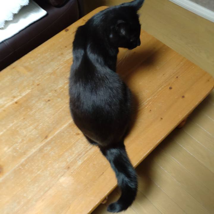 18640e8f c704 45df a417 b0ccc692265f 1632909793847