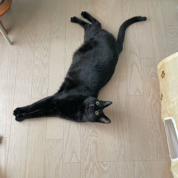 1864127d b68c 4316 a630 e9e5c1a96d3c 1713098813408