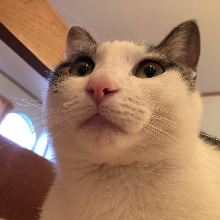 18641cce aee9 42cc 88f4 f541e85017b3 1617658949755