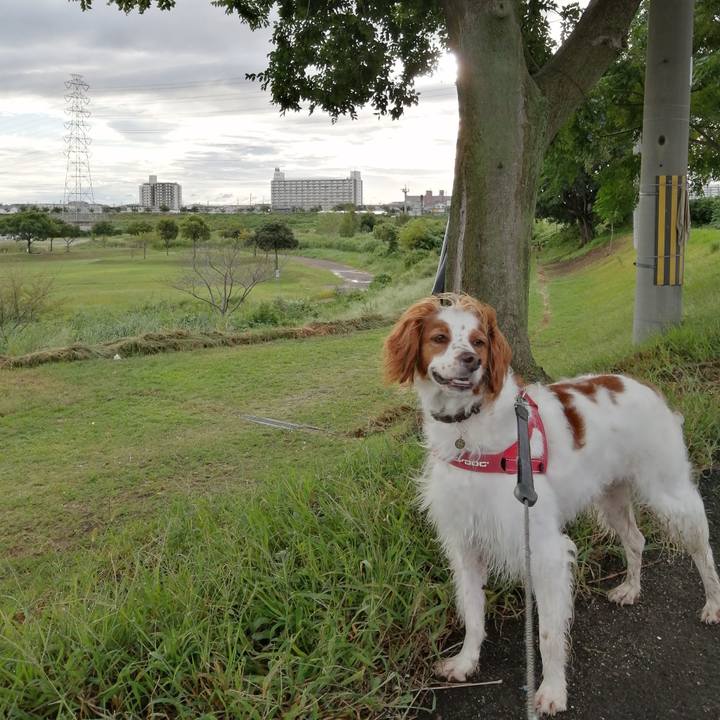 18642714 9013 4ec9 ad77 b38df80771a1 1569160080079