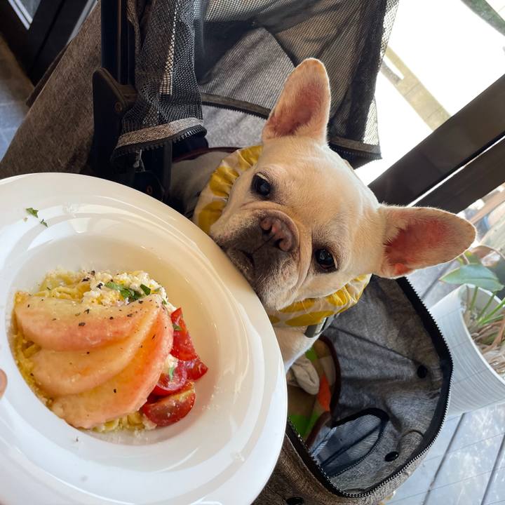 18646a68 98c5 4064 9142 23da79efeaf9 1753085489682