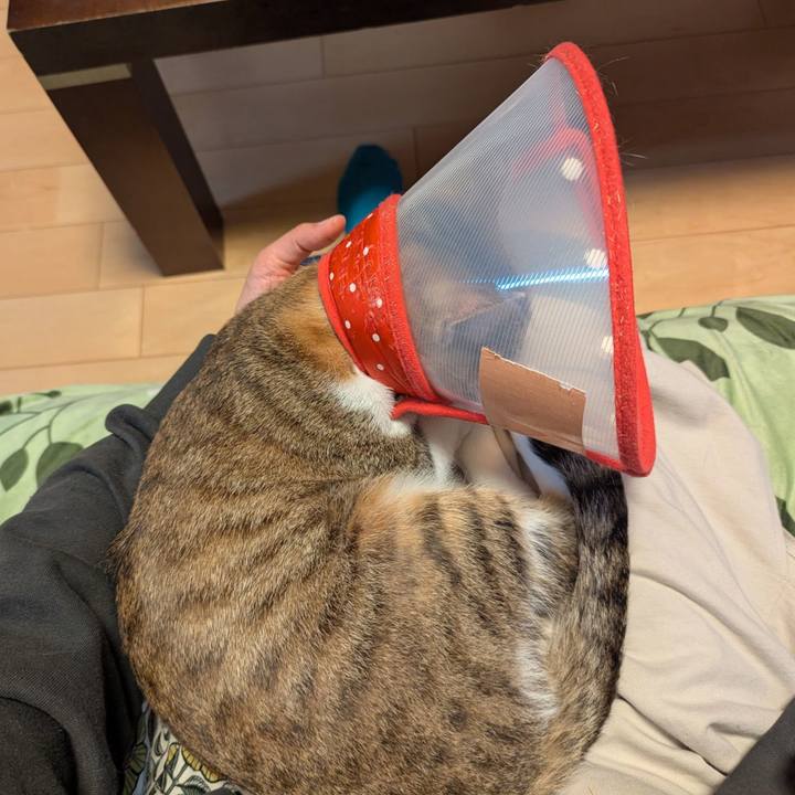 18647bdc 9ac0 4e50 abbf 18bb6a987c93 1746772714721