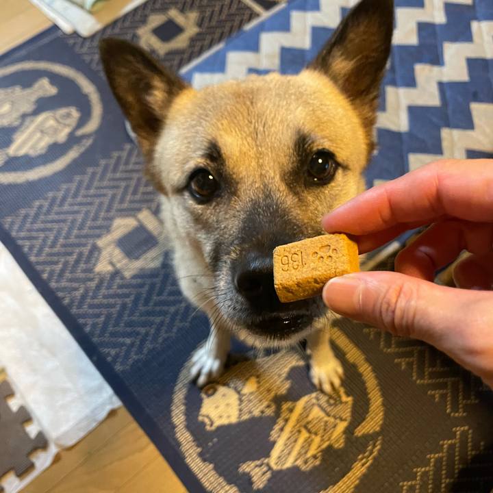 18647bfb a581 4210 a1d3 31716c7b4f4c 1662553609770