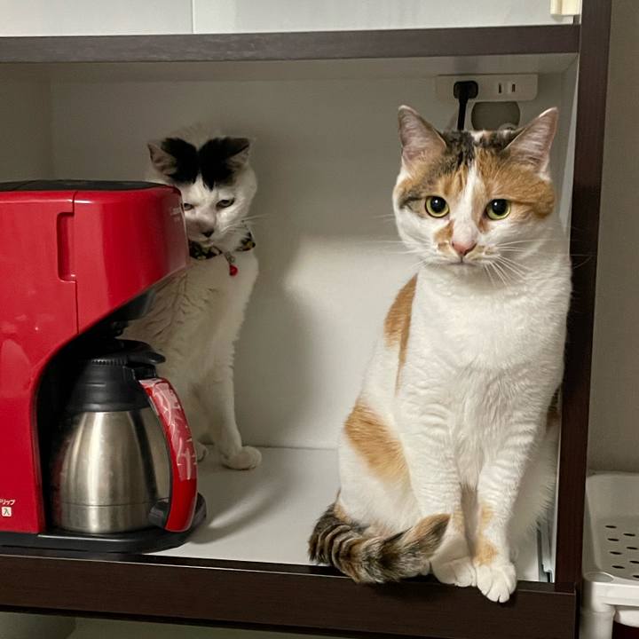 18648e37 609b 4b87 9904 320f8a25eac4 1654175030949