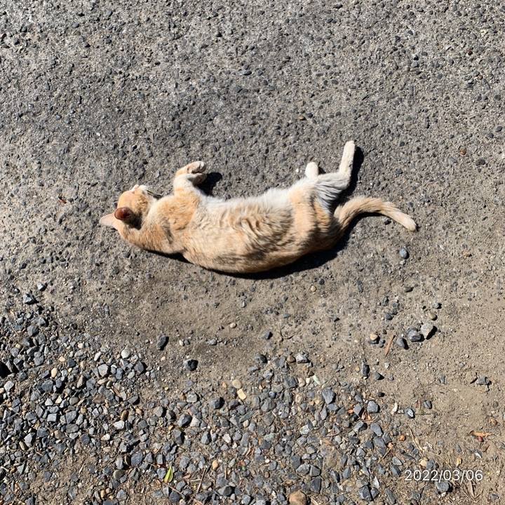 1864a6d3 7beb 432c 9c0c 42af2caa0a87 1646531392271