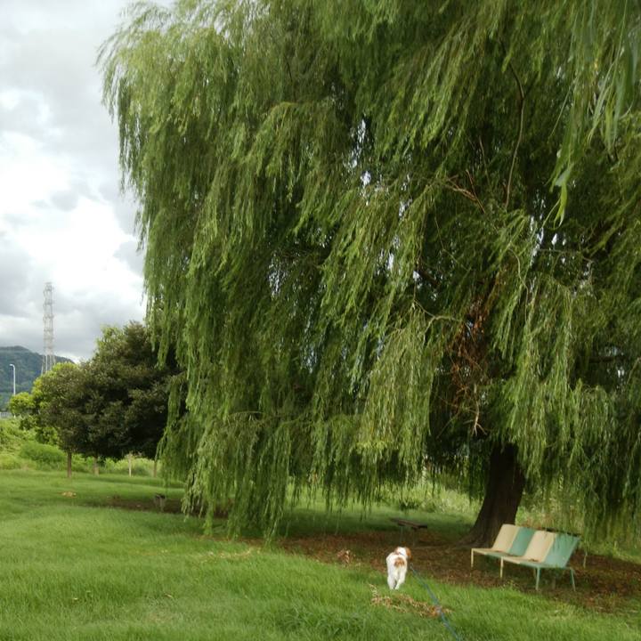 1864ae73 befb 4254 8d8c 973d69b4b6ec 1534418657448