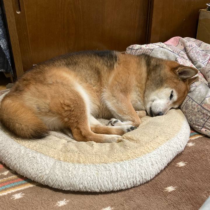 18650d68 2a61 4f2b bf3b 20e6d5085b1b 1729560076244