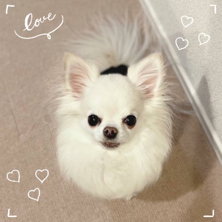 18655e6a 84b7 4c15 a917 dbab47a92072 1643545465839