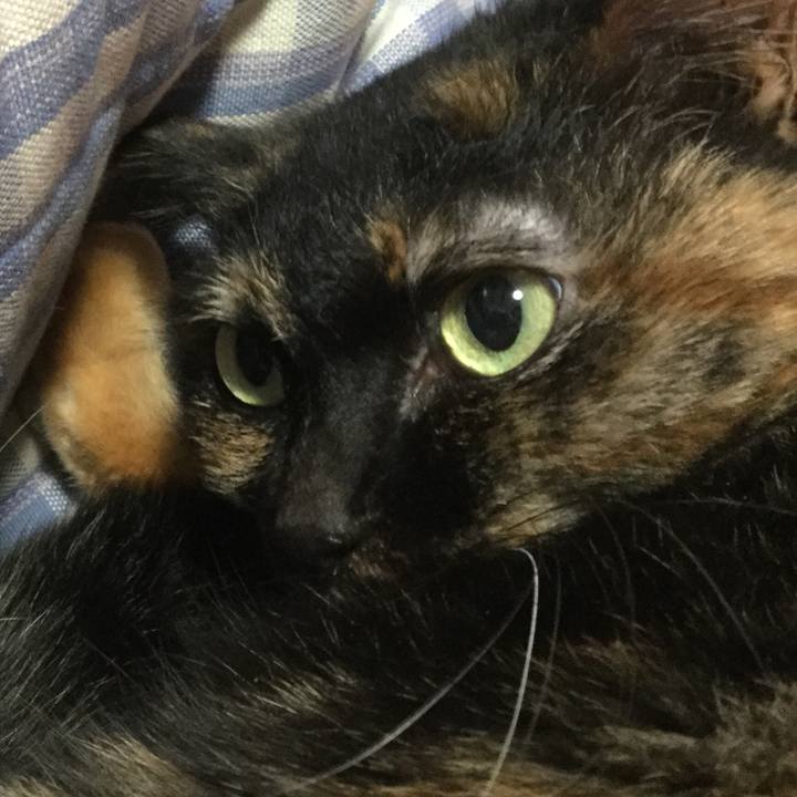 1865b4fb 9ee2 45e5 907c 7f3bbd709386 1554084555302