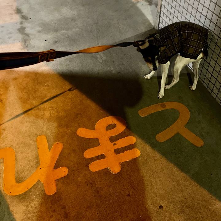 1865d5b5 4182 47d7 b9f3 02c4721e0255 1579733903152