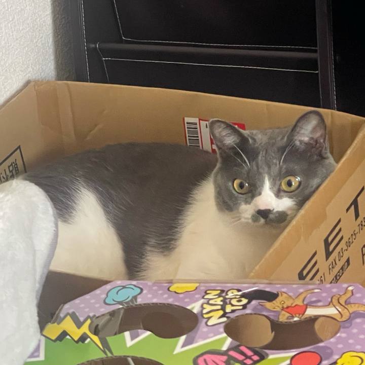 1865e26d e4f5 4ebb be87 b6ec9ace793a 1632011525461