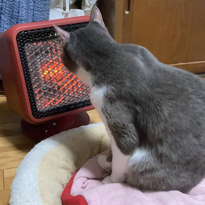 1865fb13 9186 4a2f b3cb e87da2f87ba5 1696400403208