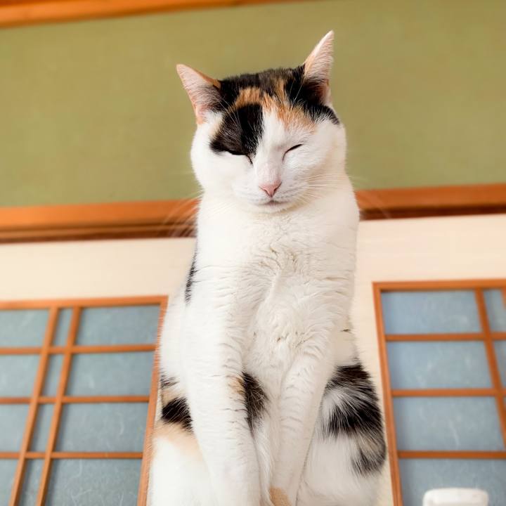 1866187a c6a9 478e a106 d67709dcb37c 1583979156661