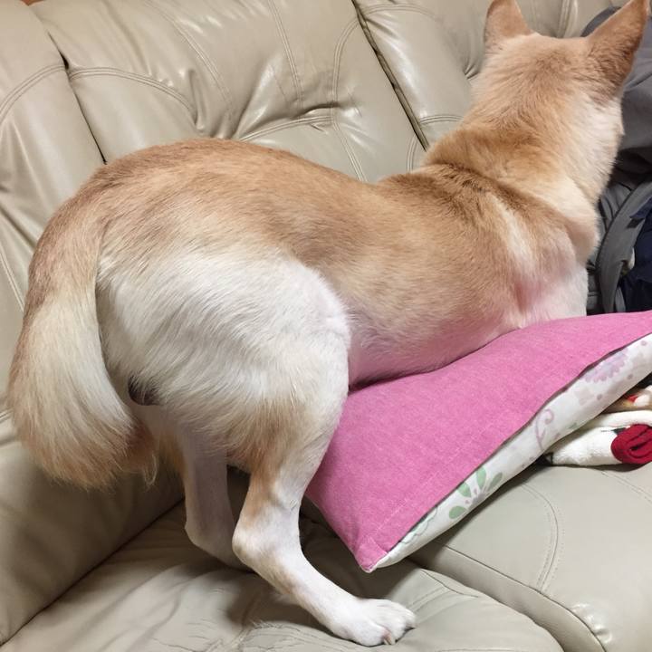 186639cf b885 4fc5 a518 cd827a075b11 1510489783422