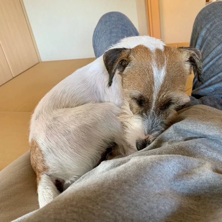 18664ccf 771d 45c2 ba3e a8fc44ea59b9 1602655989945