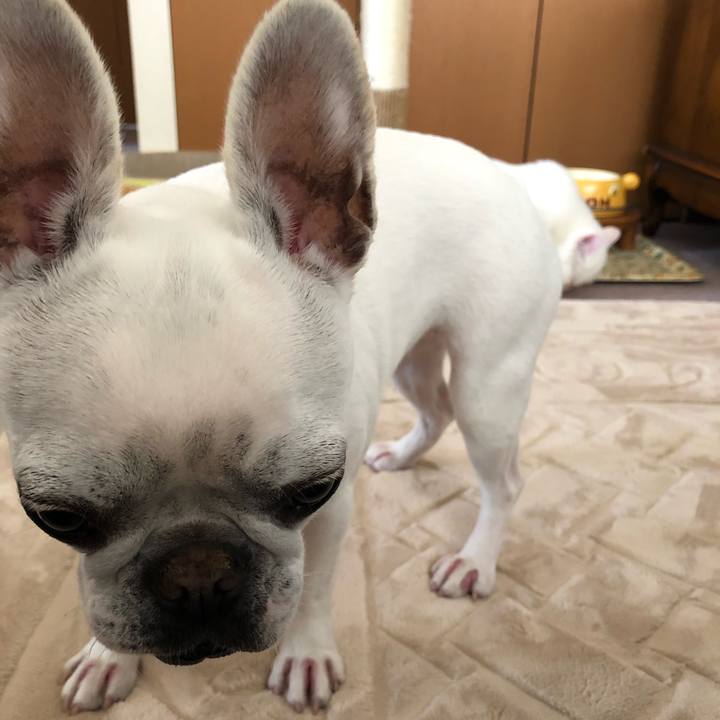 1866574f e33b 4168 93d2 06bdb04870c6 1557625512364