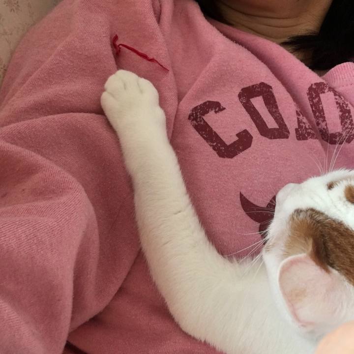 18666b55 dec0 4ab6 a3c3 6b626ff49758 1522537652113