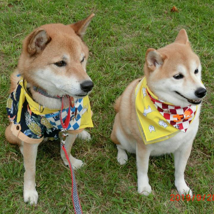 186694e4 bc9d 4ac1 bee3 11ea1a4495f4 1569683263102